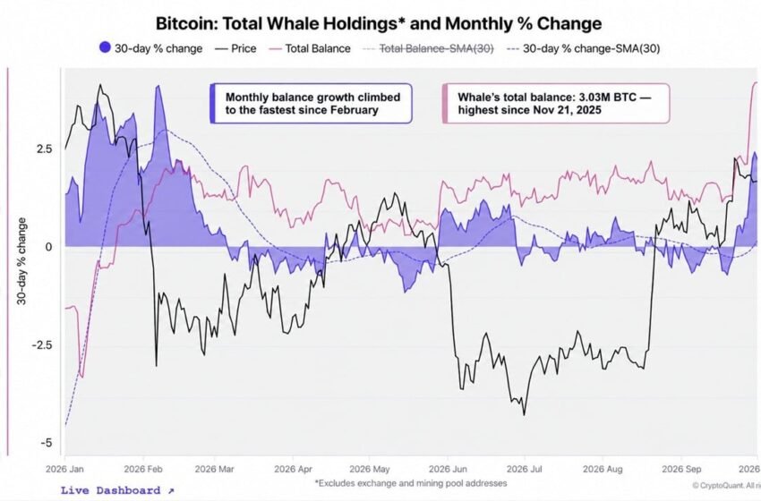  Cryptoquant Says Bitcoin Whales Are Back as a Mystery Buyer Grabs $97M