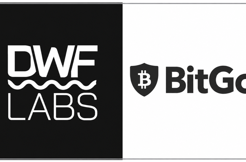  DWF Labs Takes Bitgo to Court Over $141M Token Lock-up Dispute