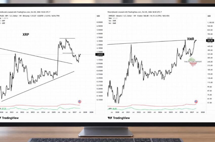  Peter Brandt Favors Monero Over XRP Despite Bullish Price Targets