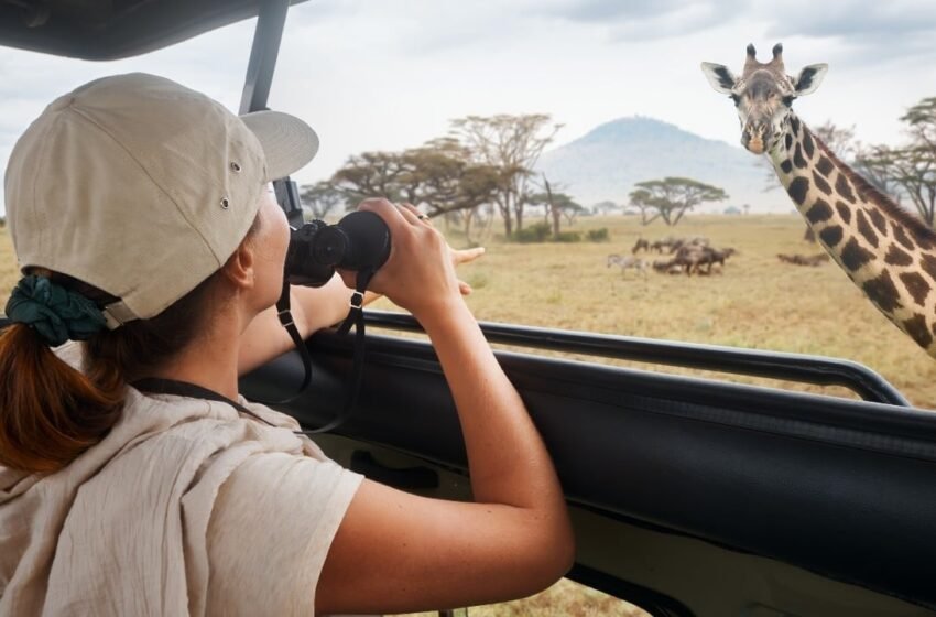  Tanzanian Tour Operator Accepts Bitcoin for Safaris and Treks