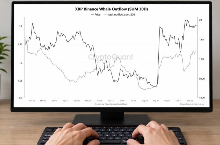  XRP Whale Transfers off Binance Reach Highest Level in 7 Months